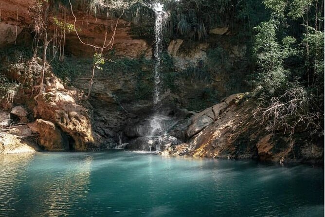 Full-Day Gozalandia Private Tour in Puerto Rico - Why this private day trip works from San Juan