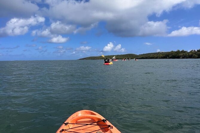 Full-Day Kayak Adventure – Explore Fajardo’s Crystal-Clear Waters - The $80 value for two people