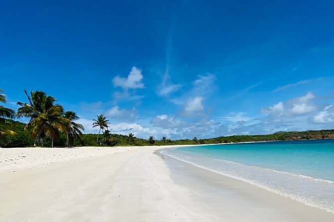 Full Day Private Boat Tour To Culebra - How The Captain Affects The Experience