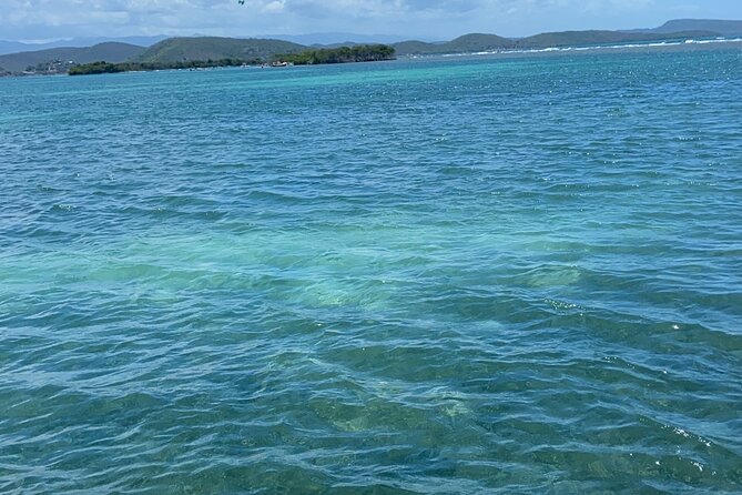 Full-Day Private Cruise in Cayo Caracoles - Key points to know before booking