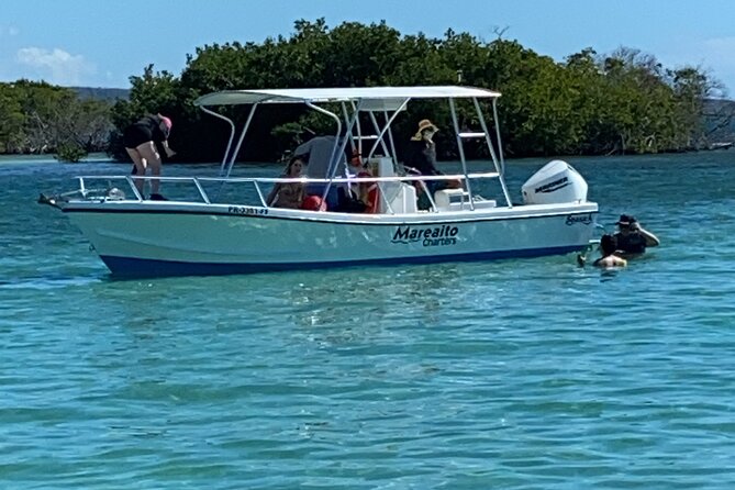 Full-Day Private Cruise in Cayo Caracoles - What to pack for the sandbar