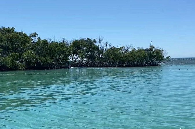 Full-Day Private Cruise in Cayo Caracoles - The $500 price and who gets good value