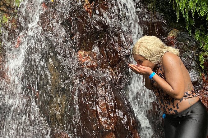 Full-Day Private Tour to Tinajas Waterfalls in El Yunque - Key points to know before you book