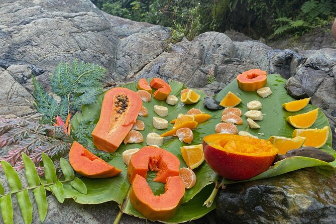 Full-Day Private Tour to Tinajas Waterfalls in El Yunque - Swimming, slides, swings, and rock jumps