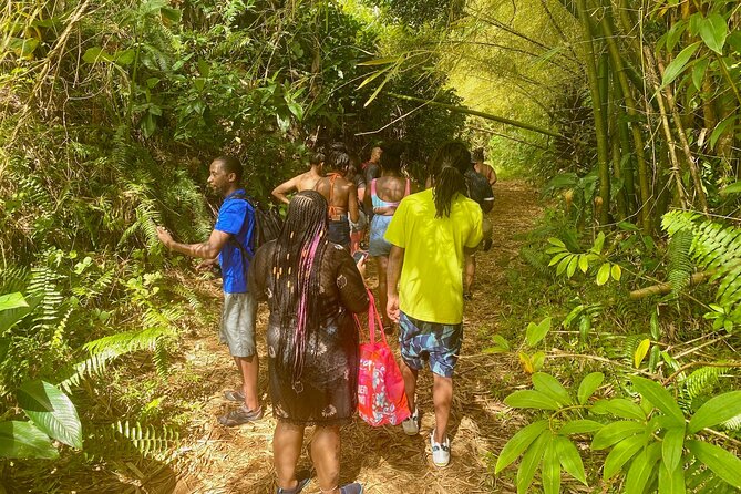 Full-Day Private Tour to Tinajas Waterfalls in El Yunque - Fresh fruit and a spring waterfall