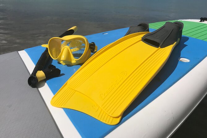 Full-Day Snorkeling Gear Rental in Puerto Rico - What this Fajardo rental really offers