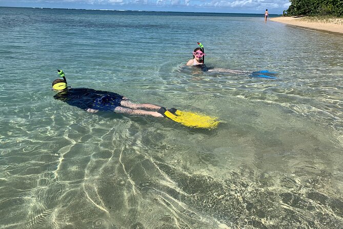 Full-Day Snorkeling Gear Rental in Puerto Rico - Using the map and marine-life card