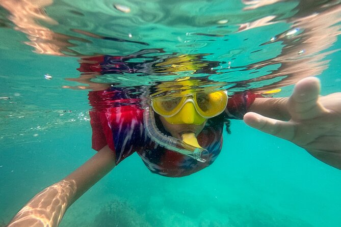 Full-Day Snorkeling Gear Rental in Puerto Rico - What you might see beneath the surface