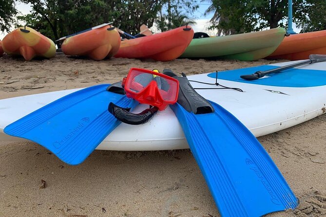 Full-Day Snorkeling Gear Rental in Puerto Rico - How the $34 price works for you