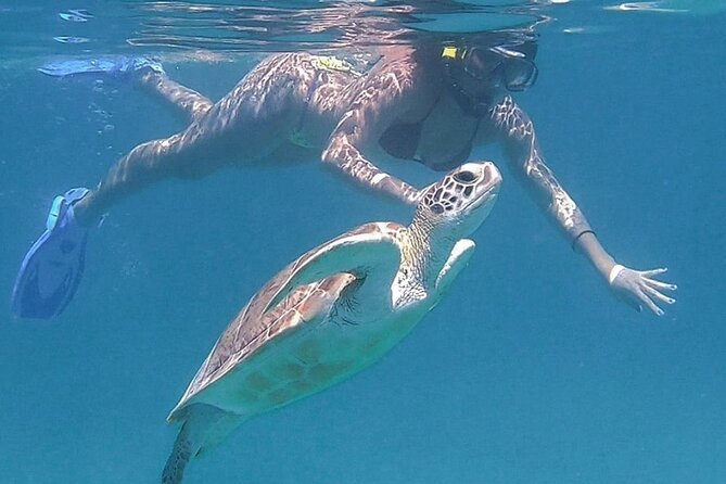Full-Day Snorkeling Tour to Culebra Island with Lunch - Lunch and the onboard break