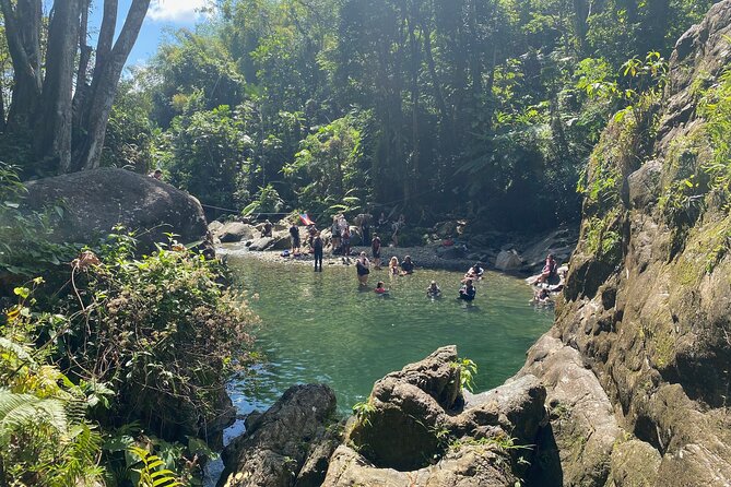 Full-Day Tinajas Hiking to El Yunque Rainforest with Transport - The 8:00 am pickup from San Juan