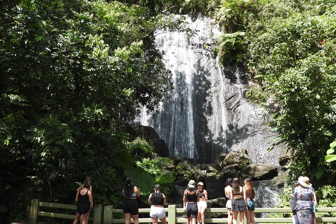 Full-Day Tour: El Yunque, Luquillo Beach, Bio Bay Night Kayaking - Key points to know before booking