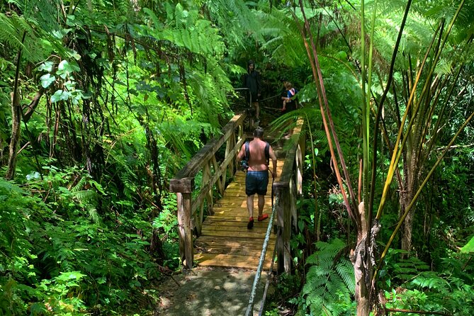Full-Day Tour: El Yunque, Luquillo Beach, Bio Bay Night Kayaking - What this full-day Puerto Rico tour actually delivers