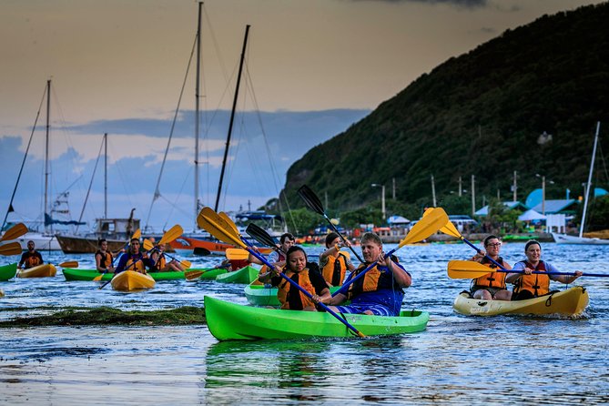 Full-Day Tour: El Yunque, Luquillo Beach, Bio Bay Night Kayaking - Puente Roto offers a short walk beside the river