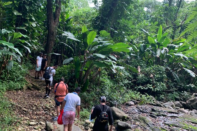 Full-Day Tour: El Yunque, Luquillo Beach, Bio Bay Night Kayaking - Yokahu Tower brings the best wide view