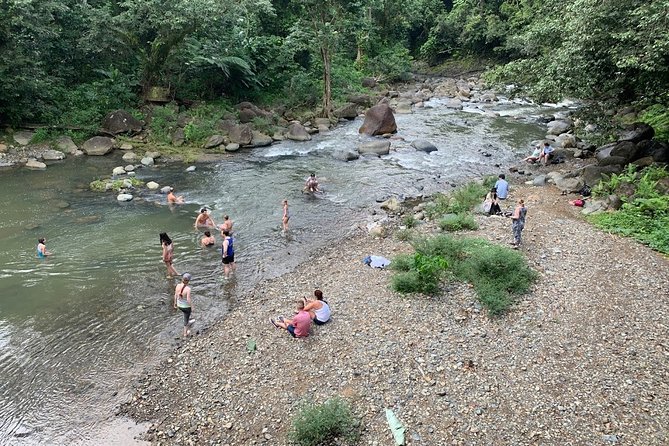 Full-Day Tour: El Yunque, Luquillo Beach, Bio Bay Night Kayaking - Laguna Grande is the day’s most memorable moment