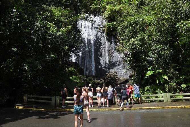 Full-Day Tour: El Yunque, Luquillo Beach, Bio Bay Night Kayaking - Guides make the short rainforest visit worthwhile