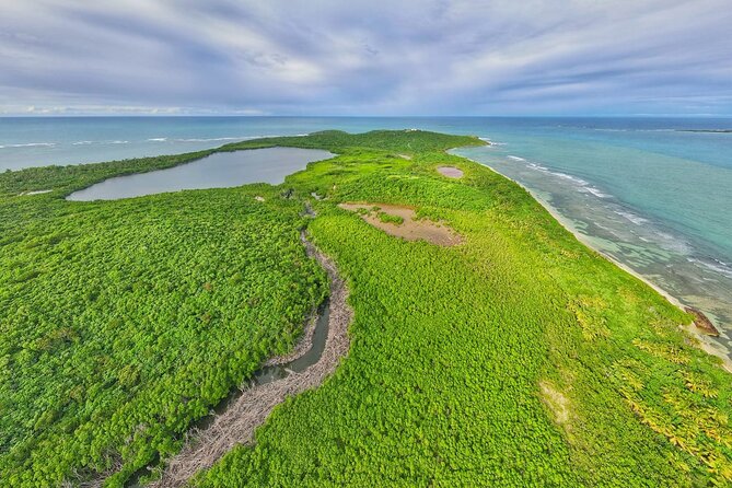 Full-Day Tour: El Yunque, Luquillo Beach, Bio Bay Night Kayaking - Is $155 a fair price?