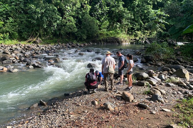 Full-Day Tour: El Yunque, Luquillo Beach, Bio Bay Night Kayaking - La Coca Falls gives you a quick rainforest introduction