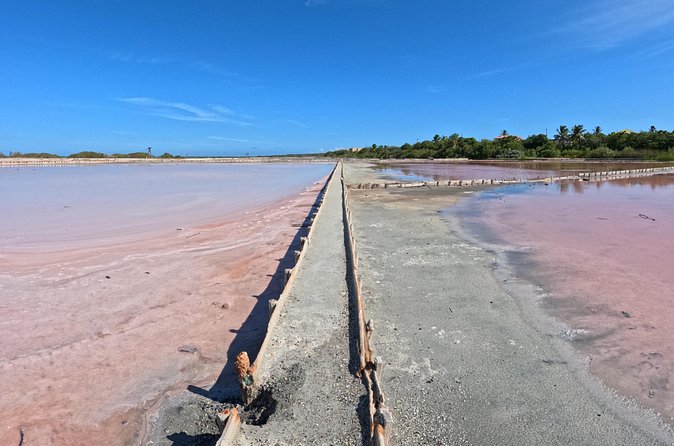 Full Day Vamos Pa la Isla Southwest Experience - Guanica shows Puerto Rico’s dry side