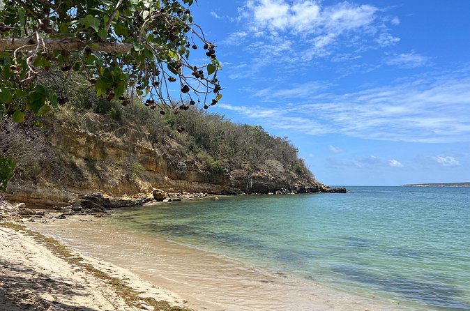 Full Day Vamos Pa la Isla Southwest Experience - Cabo Rojo adds salt, color, and open views