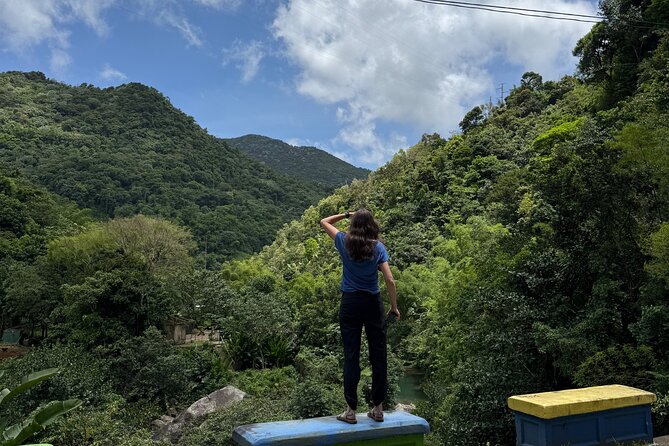 Full Day Waterfalls of Puerto Rico: Central Mountains Escape - Toro Negro State Forest is the day’s main setting