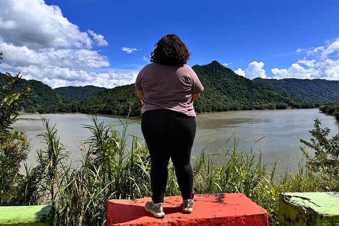 Full Day Waterfalls of Puerto Rico: Central Mountains Escape - Local food and guide personality matter here