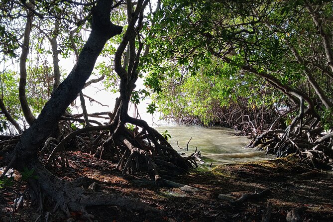 Full Day West Coast Adventure in Puerto Rico - Combate Beach is where the pace finally slows