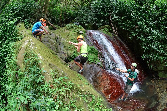 Full-Day Zipline and Waterfall Rappelling Adventure Near San Juan - From Isla Verde to the hills above Caguas