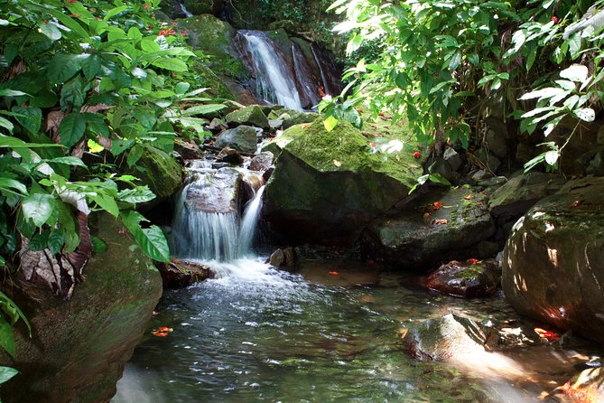 Full-Day Zipline and Waterfall Rappelling Adventure Near San Juan - What $165 buys you