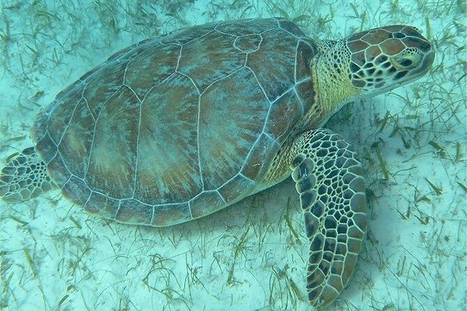 Get SCUBA Certified at San Juan - How demanding is the two-day course?