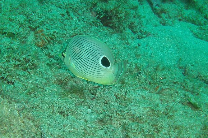 Guided Coral Reef Snorkeling Tour - Arriving at Steps Beach in Tres Palmas