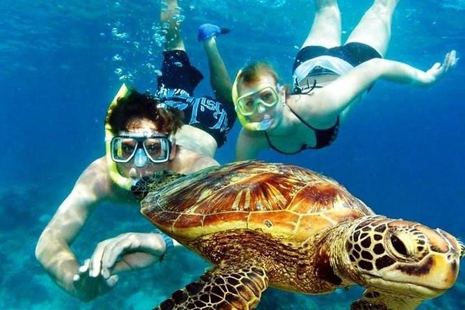 Guided Coral Reef Snorkeling Tour - Getting fitted with masks, fins, and flotation gear