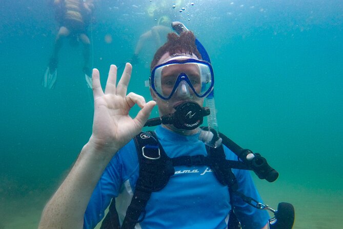 Guided Shore Diving Tour - Key points to know before you book