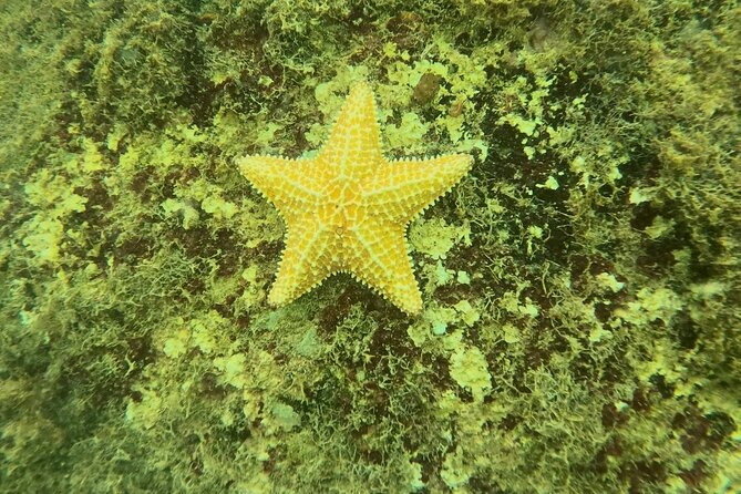 Guided Snorkeling adventure in San Juan - What to bring and how to plan the day