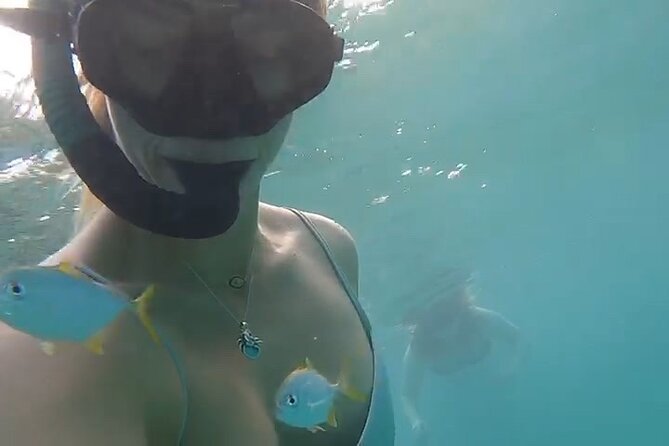 Guided Snorkeling adventure in San Juan - Check-in, equipment, and the shallow-water test