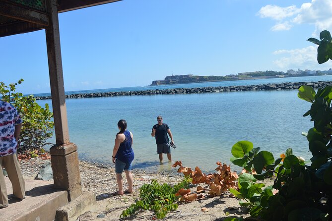 Half-Day Center of Puerto Rico Cultural Tour - The Metro Area Stops Add Useful Context
