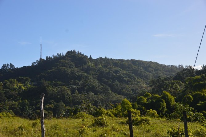 Half-Day Center of Puerto Rico Cultural Tour - The Drive Toward Bayamón and Aguas Buenas
