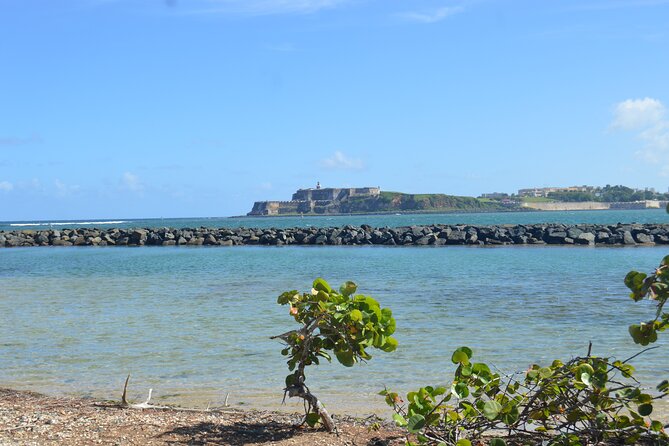 Half-Day Center of Puerto Rico Cultural Tour - The Guides Make the Difference