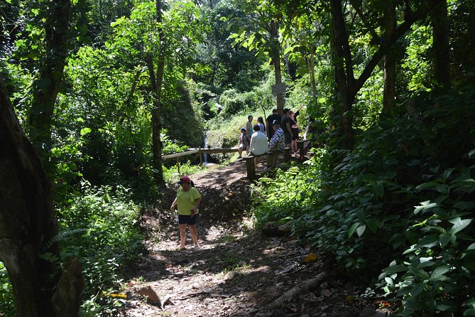 Half-Day Center of Puerto Rico Cultural Tour - What $80 Gets You