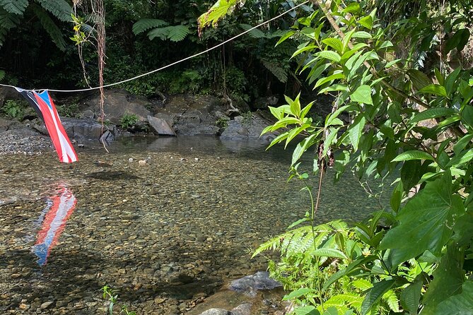 Half-Day El Yunque and Waterslides Adventure from Fajardo - What the small group changes