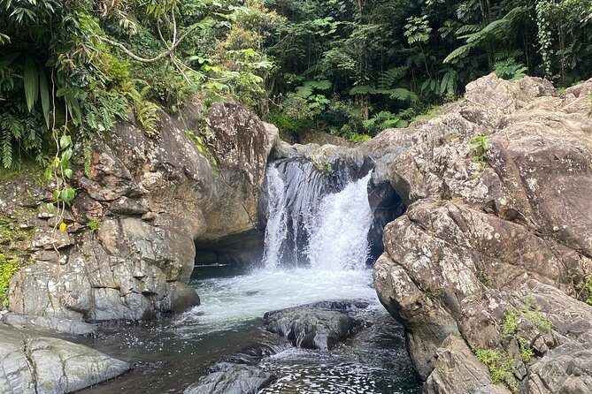 Half-Day El Yunque and Waterslides Adventure from Fajardo - Hiking toward Las Tinajas Falls