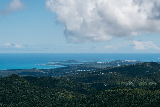 Half-Day El Yunque National Forest Tour from San Juan - Yokahu Tower and the Eastern Coast
