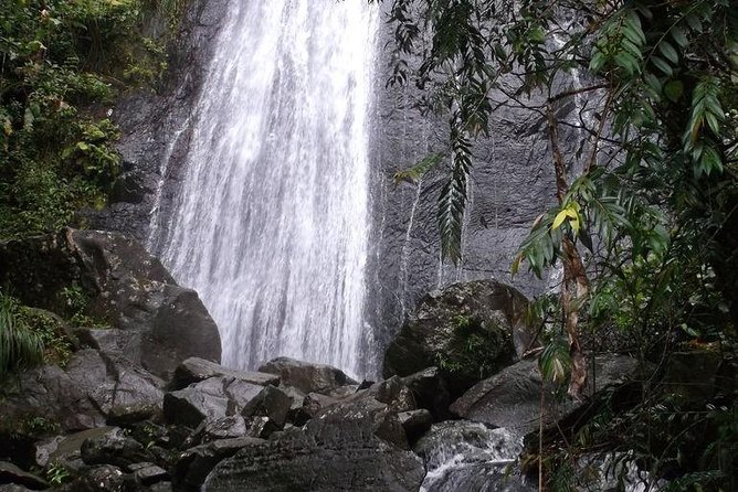 Half-Day El Yunque National Forest Tour from San Juan - The 30 to 45 Minute Nature Walk