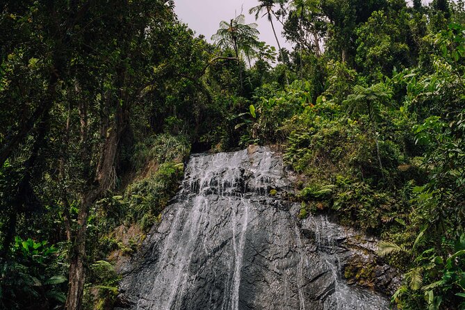 Half-Day El Yunque National Forest Tour from San Juan - How Much Time Do You Really Spend in the Forest?