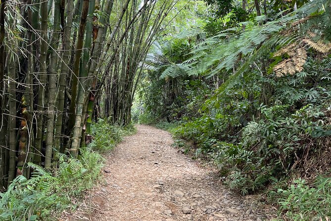 Half Day El Yunque Tour, Waterslide and Rope Swing - What the $39 price really covers