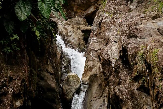 Half-Day El Yunque Waterslide Excursion (no Transportation) - What the $21 price really includes