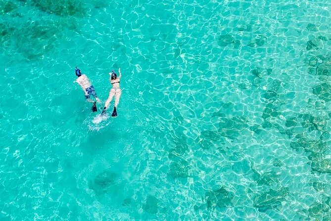 Half Day Icacos Island with Roundtrip Transport from San Juan - The Icacos Island experience at a glance