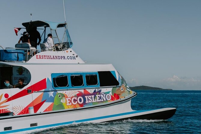 Half Day Icacos Island with Roundtrip Transport from San Juan - Practical things to pack and plan
