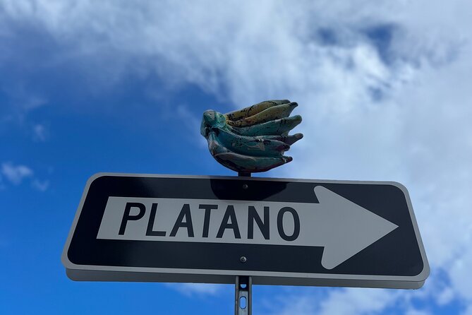 Half-Day: Old San Juan, Calle Cerra,Santurce, La Placita & Loíza - Who should book this San Juan tour?